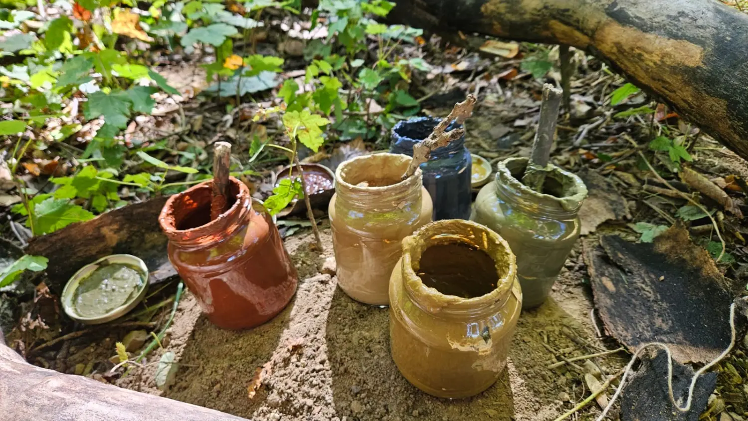 Wurzelich - Kinder im Wald