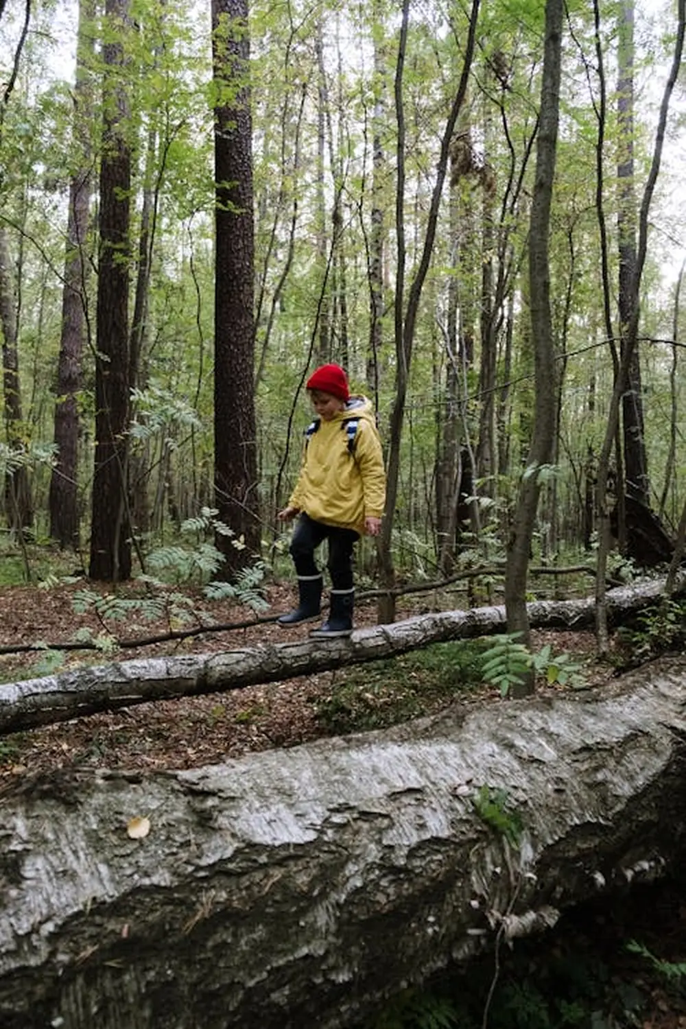 Wurzelich - Kind im Wald