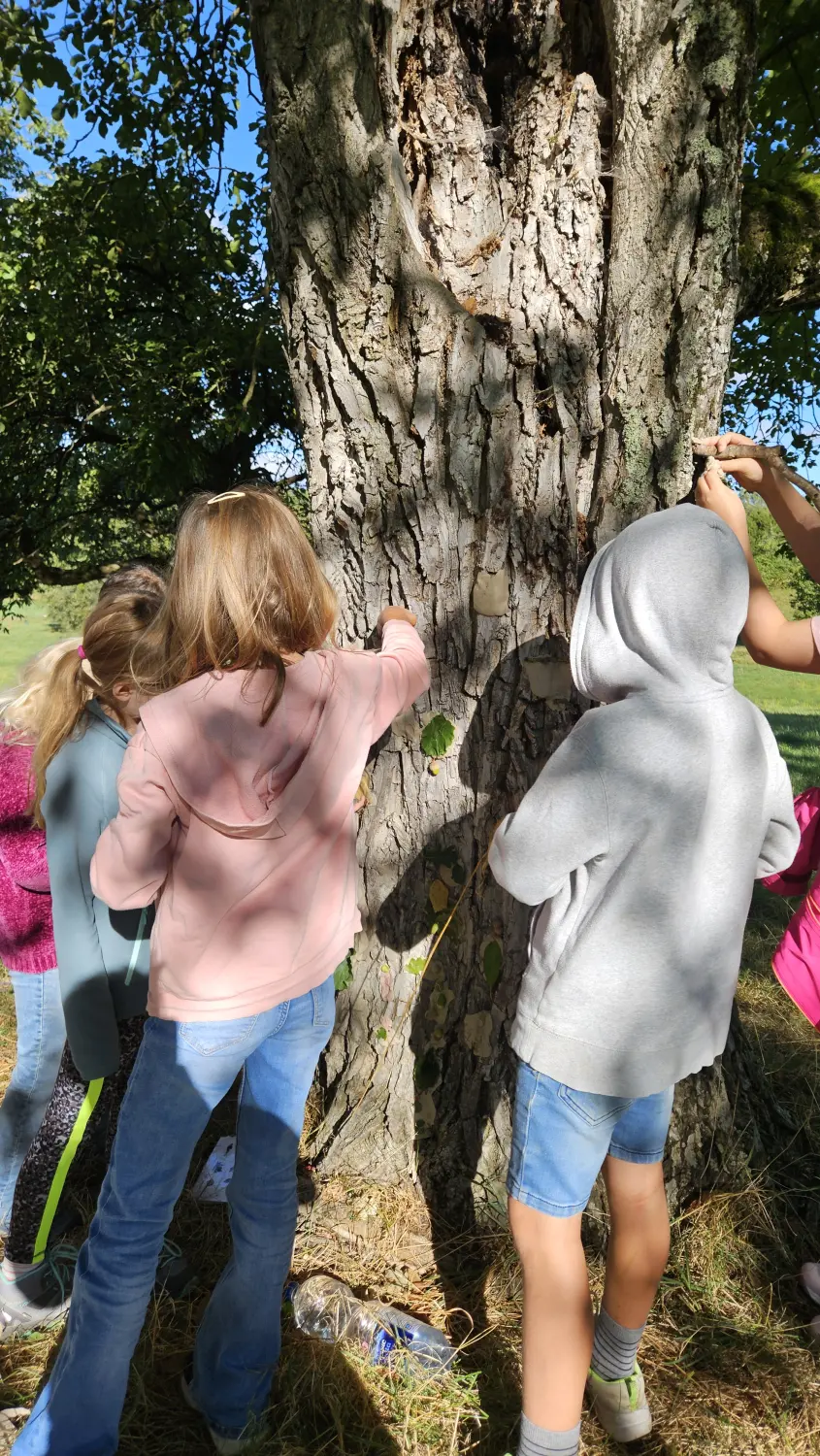 Wurzelich - Kinder im Wald