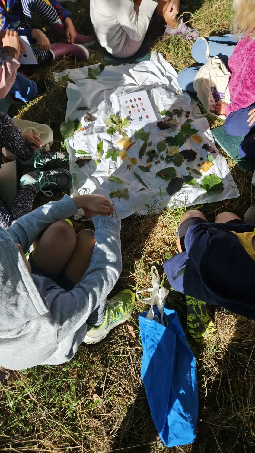 Wurzelich - Kinder im Wald